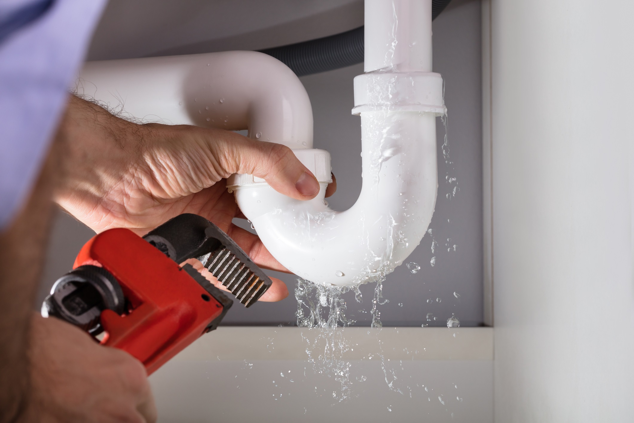 What is a Rooter Service? | Apartement Lifestyle